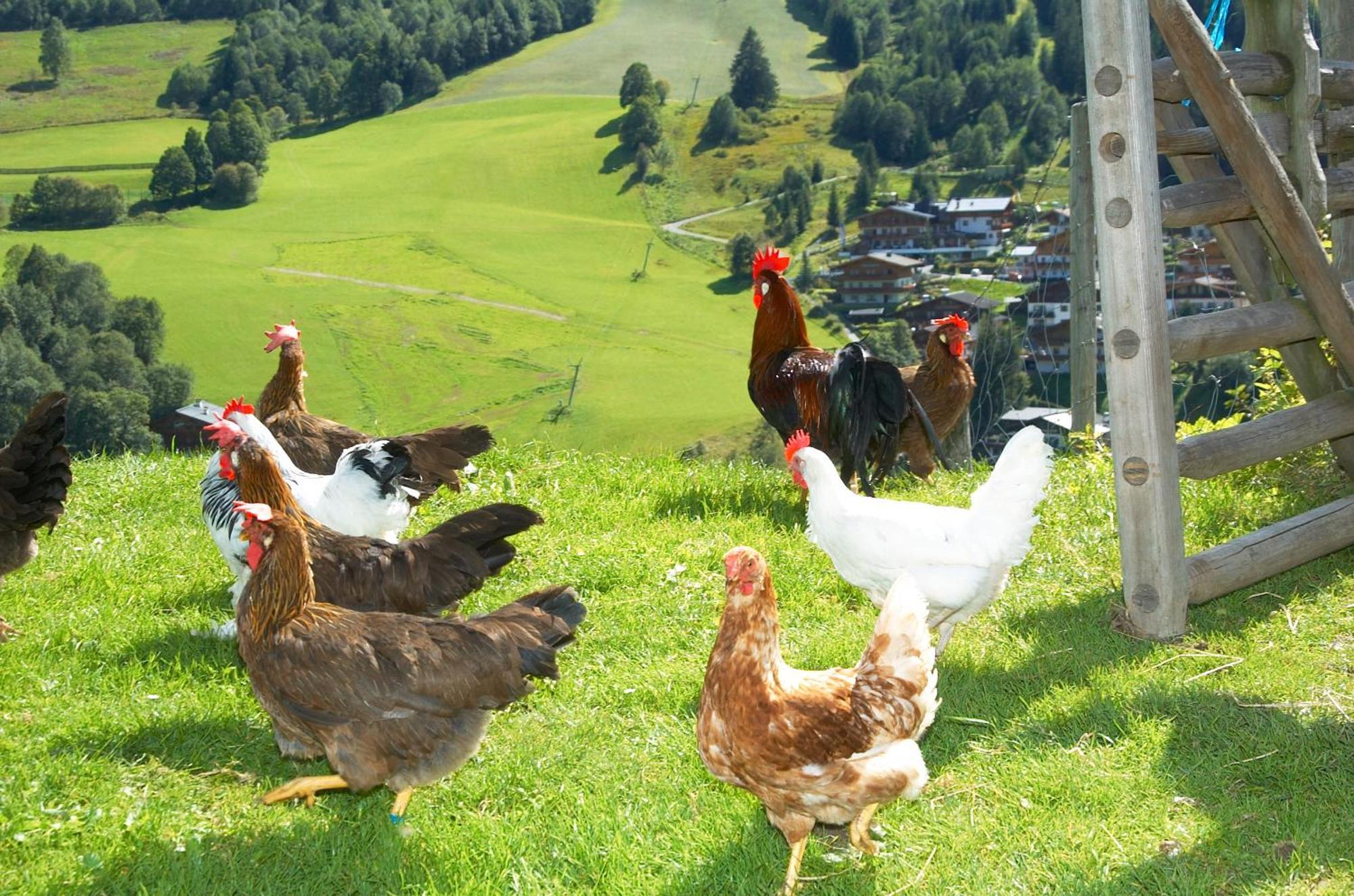 Feriengut Hasenau Aparthotel Saalbach-Hinterglemm Luaran gambar